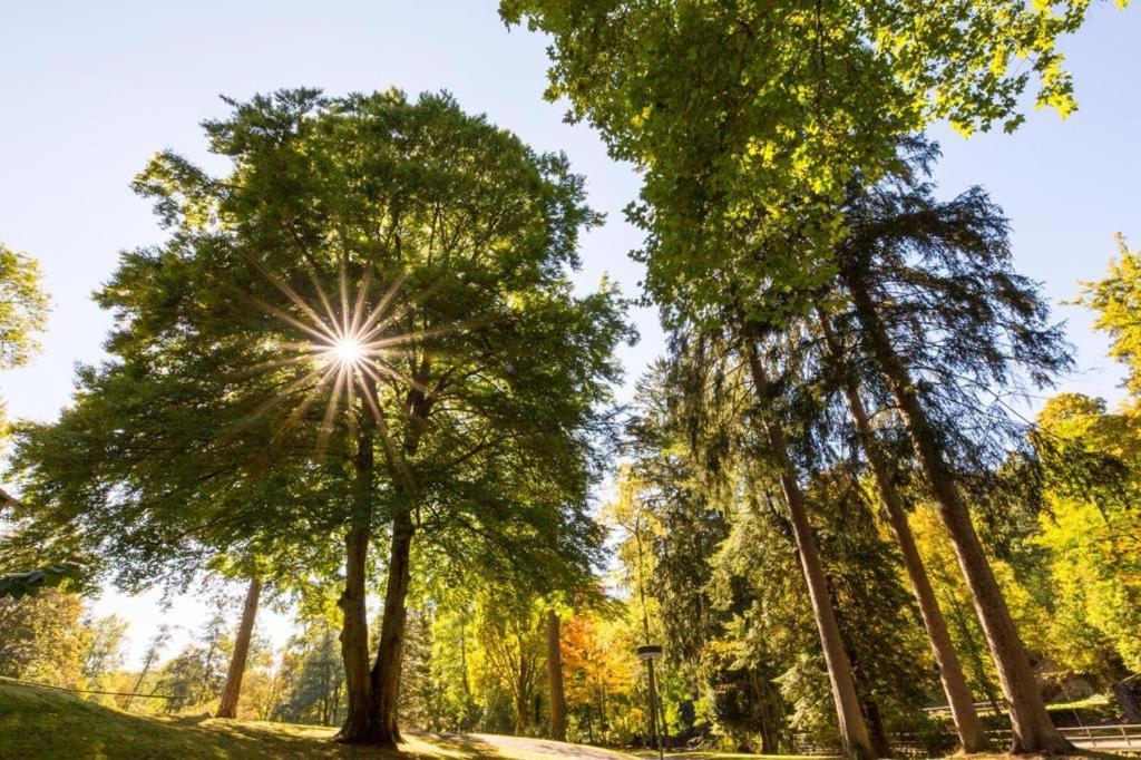 Appartamento Schwarzwald Maedl Bad Wildbad Esterno foto